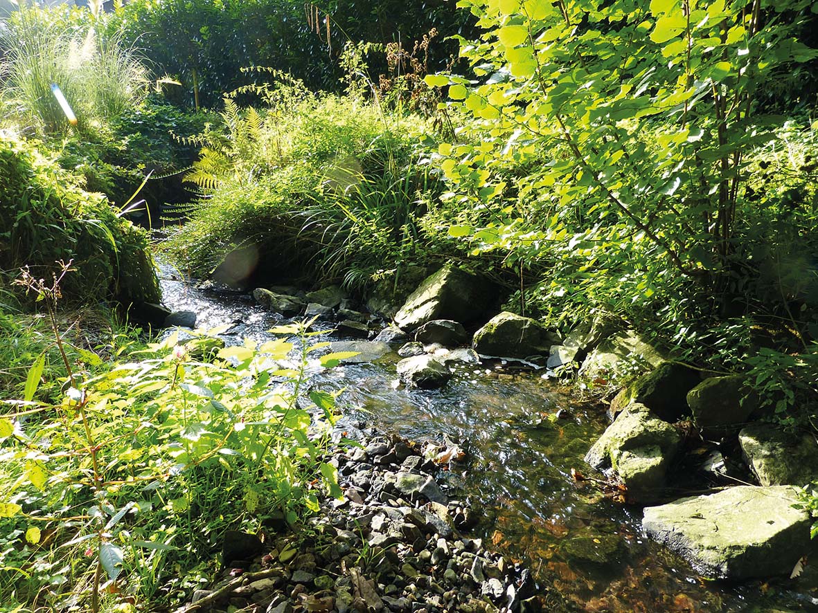 Bild eines geschwungenen Bachverlaufs