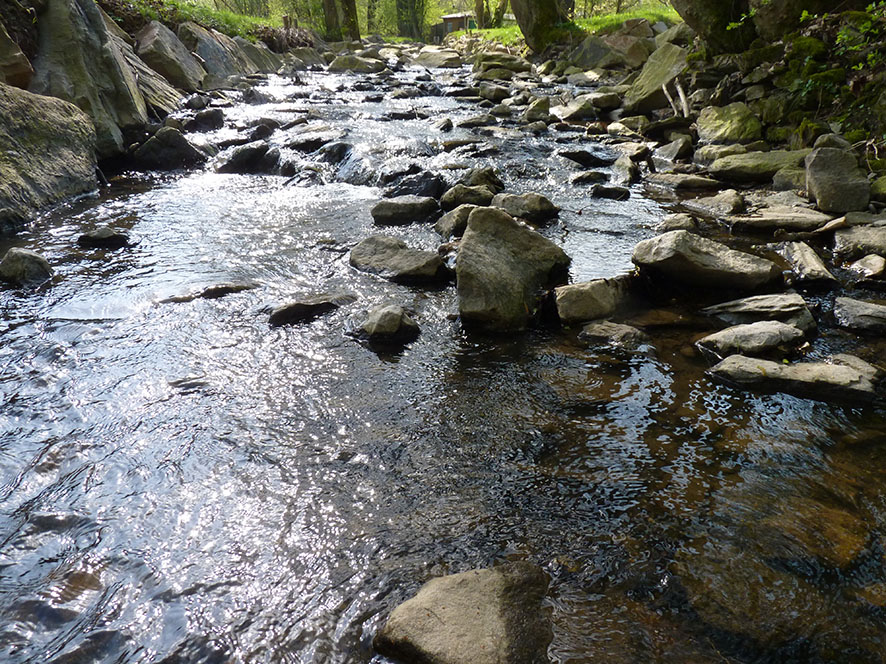 Bachverlauf in dem Störsteine zur Verringerung der Fließgeschwindigkeit eingebracht wurden 