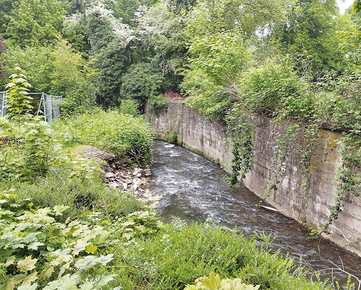 maßnahmen hühnerbach