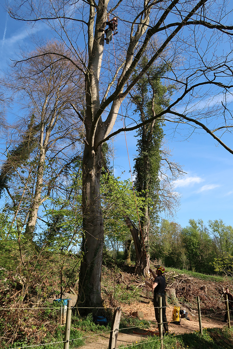 fledermauskasten 01
